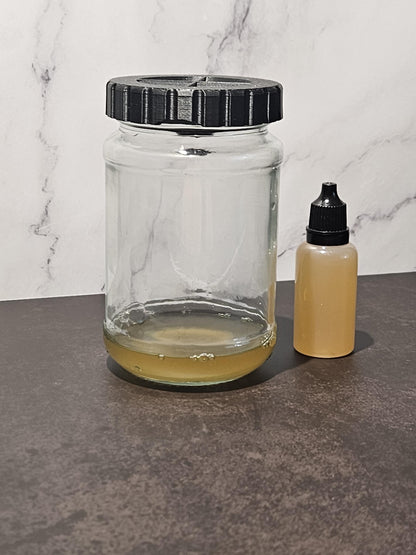 Reusable and Biodegradable Fruit Fly Trap Lid - Elevate Your Home Decor While Keeping Pests at Bay